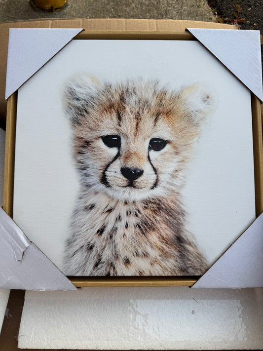 Cheetah Framed Canvas Wall Art by Amy Peterson, 13*13 in, Baby Animal Home Decor