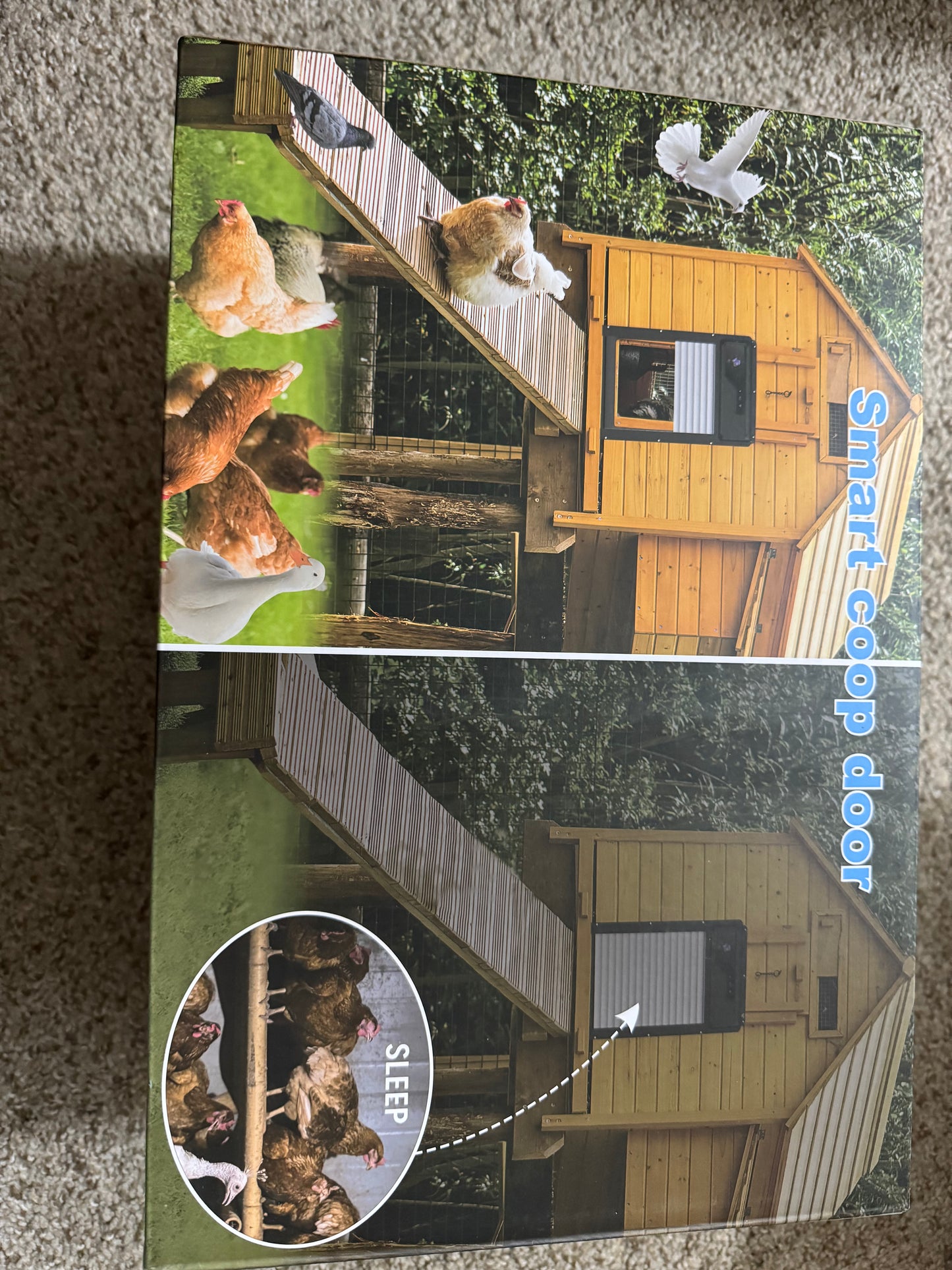 1080P HD Camera Solar Automatic Chicken Coop Door, 5000 mAh Battery, Support WiFi, APP Remote Control, Timer, Anti-Trap Infrared Sensor and Alarm Driver Function, Easy to Install and Use.